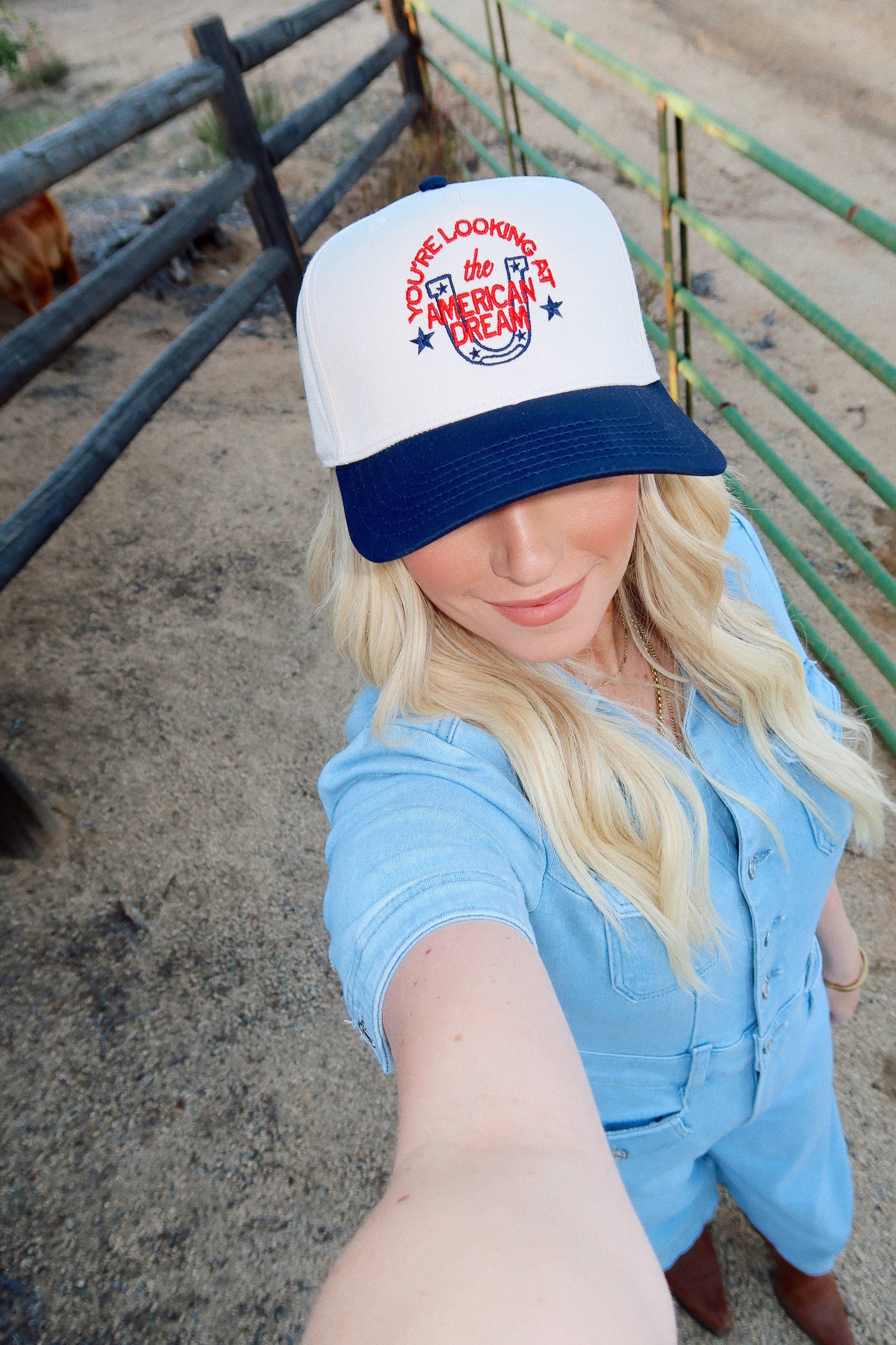 You're Looking At The American Dream- Embroidered Hat