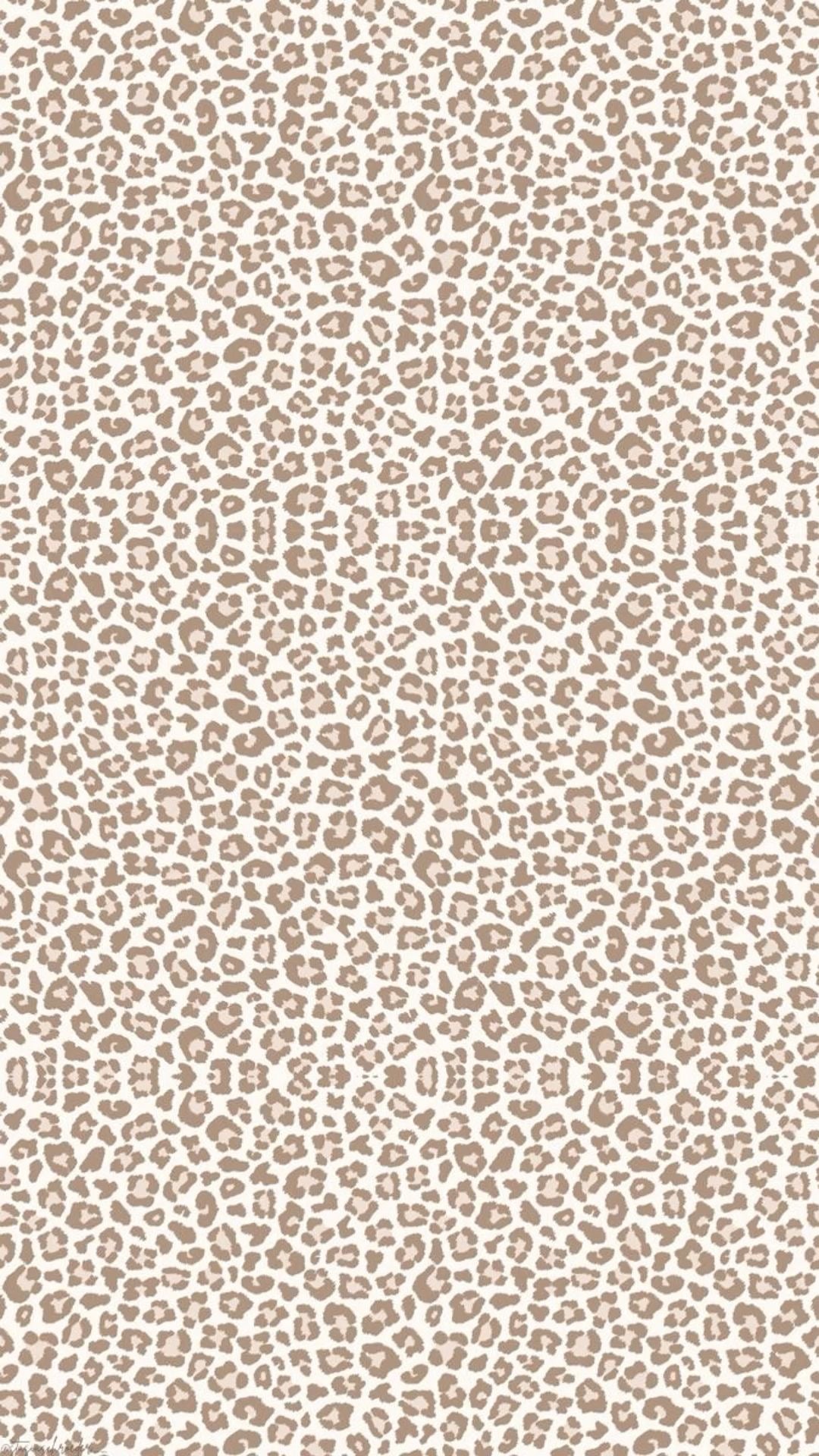 Leopard Collection