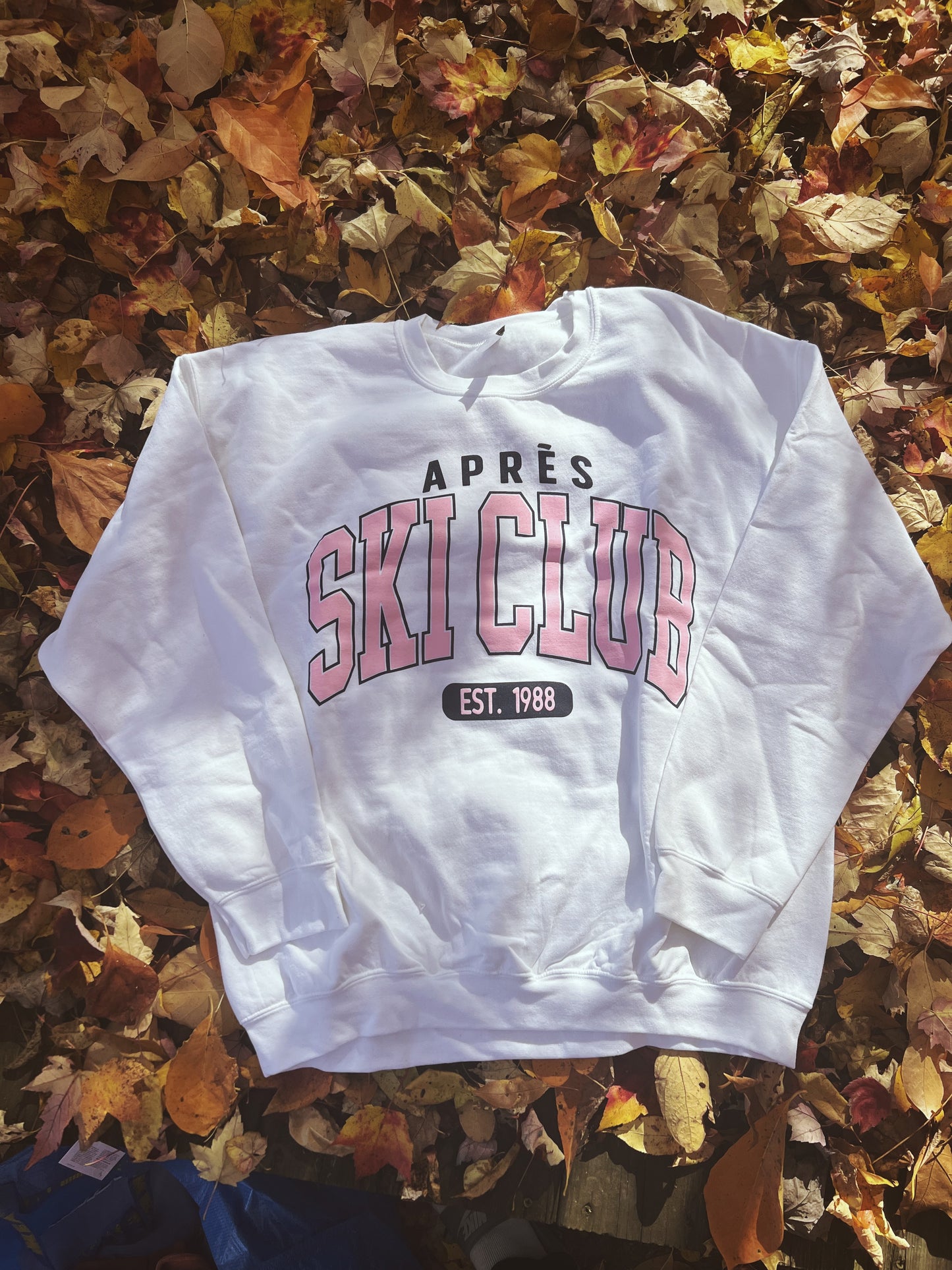 Ski Club Graphic Crewneck Sweatshirt